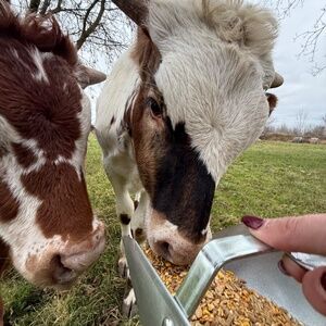 Our Farm, Our Life